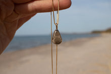 Load image into Gallery viewer, Golden Petoskey