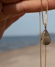 Load image into Gallery viewer, Golden Petoskey