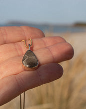 Load image into Gallery viewer, Golden Petoskey