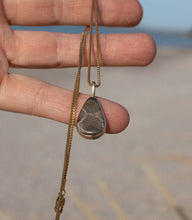 Load image into Gallery viewer, Golden Petoskey