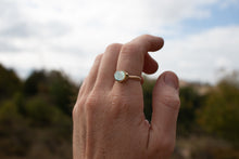 Load image into Gallery viewer, Deep Sea Treasures; Size 6.75