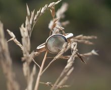 Load image into Gallery viewer, Deep Sea Treasures; Size 6.75