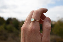 Load image into Gallery viewer, Deep Sea Treasures; Size 6.75