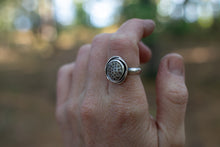 Load image into Gallery viewer, Charlevoix Swirl; Size 7