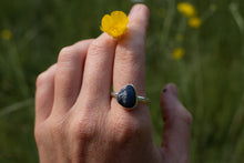 Load image into Gallery viewer, Leland Blue; Size 10