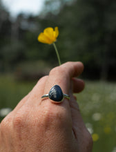 Load image into Gallery viewer, Leland Blue; Size 10