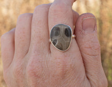Load image into Gallery viewer, Simple Petoskey; size 7.