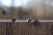 Load image into Gallery viewer, Petoskey Pebble; Size 5.75