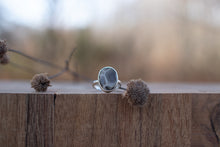 Load image into Gallery viewer, Petoskey # 1 ; Size 8.5