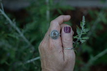 Load image into Gallery viewer, Twist Petoskey; Size 9.5