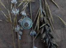 Load image into Gallery viewer, Twist Petoskey; Size 9.5