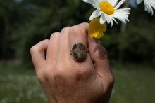 Load image into Gallery viewer, Sleeping Bear 1; Size 6