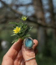 Load image into Gallery viewer, Water Reflections; size 9.25