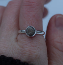 Load image into Gallery viewer, Baby Petoskey ; size 7.5