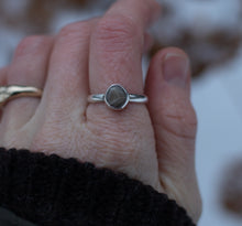 Load image into Gallery viewer, Baby Petoskey ; size 7.5