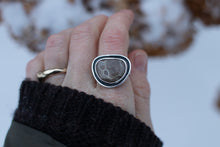 Load image into Gallery viewer, Petoskey Starship ; size 8.5