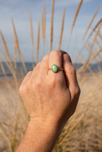 Load image into Gallery viewer, Green + Gold ; Size 8
