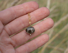 Load image into Gallery viewer, Sunset Petoskey Necklace