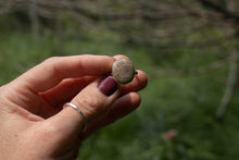 Load image into Gallery viewer, Petoskey; size 7