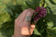 Load image into Gallery viewer, Petoskey; size 7