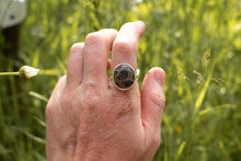 Load image into Gallery viewer, Petoskey; size 7