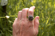 Load image into Gallery viewer, Petoskey; size 7