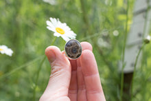 Load image into Gallery viewer, Petoskey; size 7