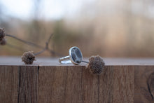 Load image into Gallery viewer, Petoskey # 1 ; Size 8.5
