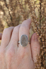 Load image into Gallery viewer, Sun Beams and Petoskey ; size 9.25