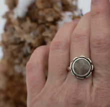 Load image into Gallery viewer, Petoskey Petals; size 7.75