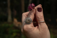 Load image into Gallery viewer, Twist Petoskey; Size 9.5