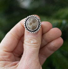 Load image into Gallery viewer, Twist Petoskey ; size 5