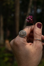 Load image into Gallery viewer, Twist Petoskey; Size 9.5