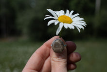 Load image into Gallery viewer, Petoskey; Size 7.5