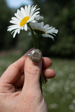 Load image into Gallery viewer, Petoskey; Size 7.5