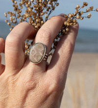 Load image into Gallery viewer, Pink Petoskey! Size 7