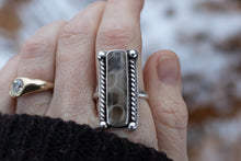 Load image into Gallery viewer, Petoskey Pedestal ; size 10