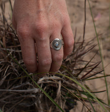 Load image into Gallery viewer, Saddle; size 5.25