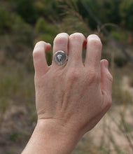 Load image into Gallery viewer, Saddle; size 5.25