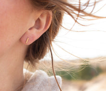 Load image into Gallery viewer, Goldenrod Earrings; PREORDER