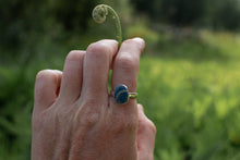 Load image into Gallery viewer, The Deep End; Size 6