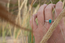 Load image into Gallery viewer, Tiny Tyrone ; Size 8.5