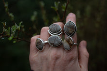 Load image into Gallery viewer, Jasper Dreams; Size 5