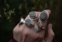 Load image into Gallery viewer, Jasper Dreams; Size 5