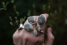 Load image into Gallery viewer, Jasper Dreams; Size 5