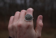 Load image into Gallery viewer, Jasper Dreams; Size 7.5