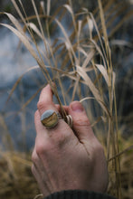 Load image into Gallery viewer, The best of the bunch!; size 7