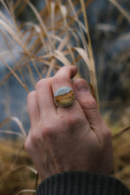 Load image into Gallery viewer, The best of the bunch!; size 7