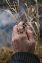 Load image into Gallery viewer, The best of the bunch!; size 7