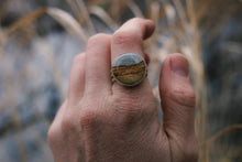 Load image into Gallery viewer, The best of the bunch!; size 7